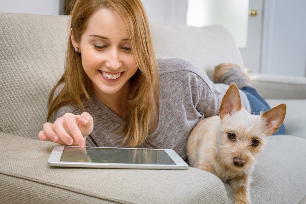 Woman with small dog playing on tablet